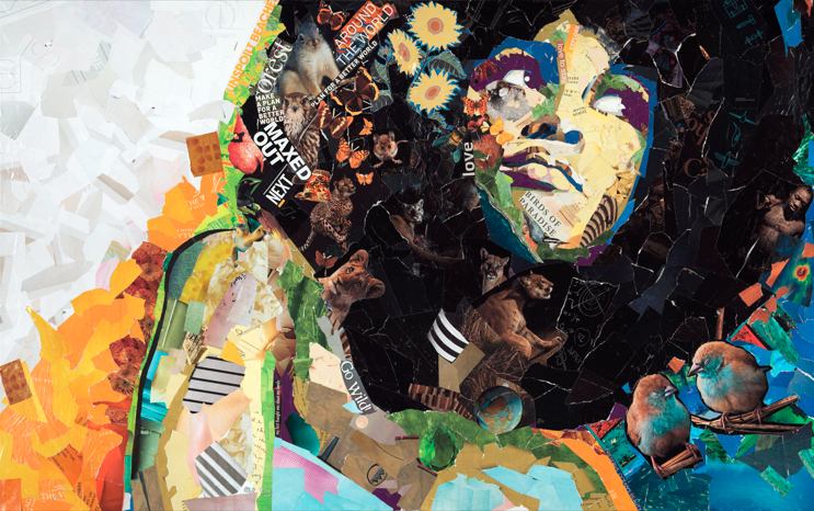 Mother Nature Bird of Paradise collage